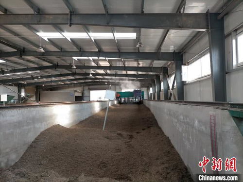 山西太原 園林垃圾資源化再利用，綠廢“變身”科創產品